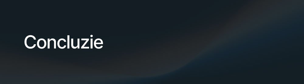Concluzie